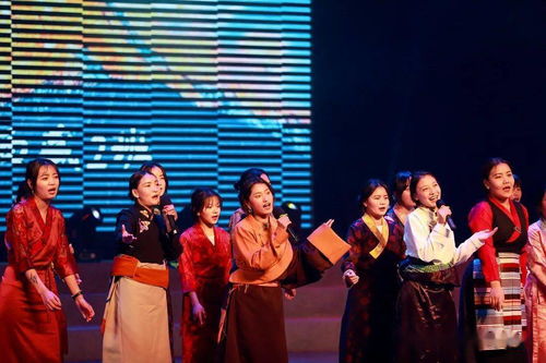 幼艺青年 高清大图直击徐州幼专新年歌会现场