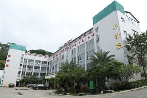 安瓿瓶加工 绮易美 安瓿瓶加工工厂高清图片 高清大图