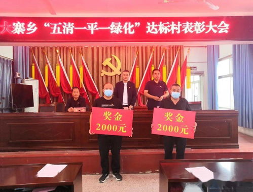大寨乡 人居环境 五清一平一绿化 达标村创建表彰大会